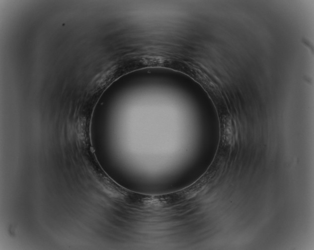 X0000093230616200710031500