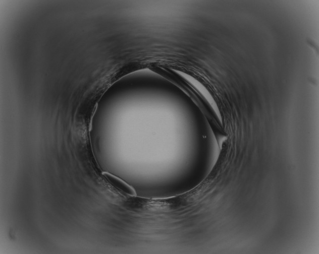 X0000093230617200710031500