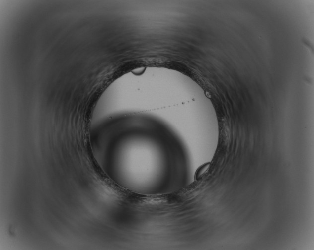 X0000093230619200710031500