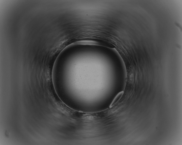 X0000093230620200710031500