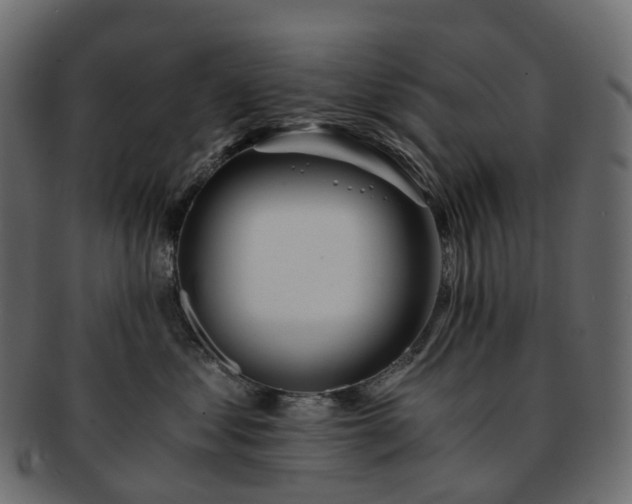 X0000093230621200710031500