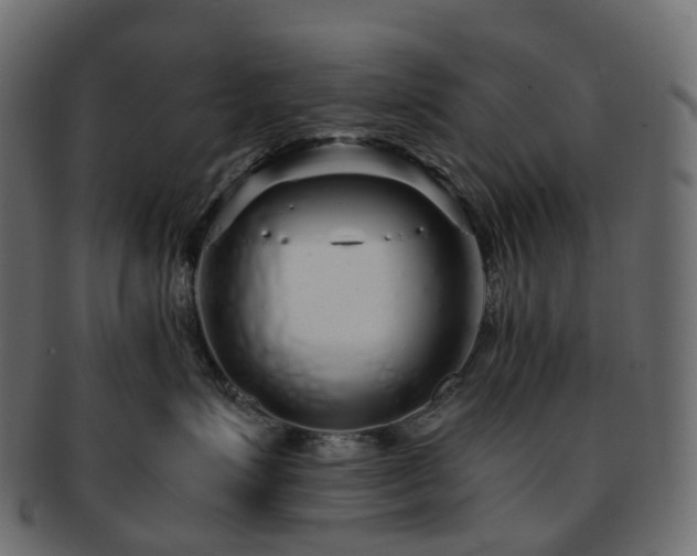 X0000093230623200710031500