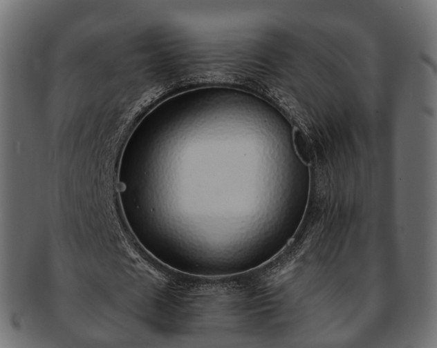 X0000093230625200710031459