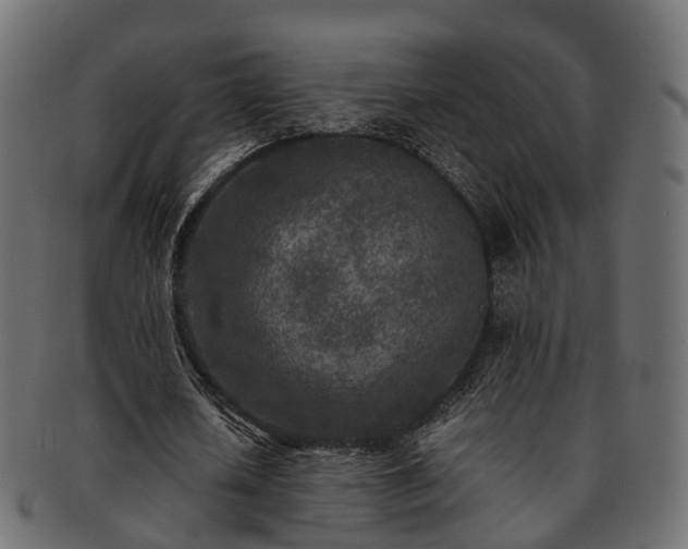 X0000093230626200710031459