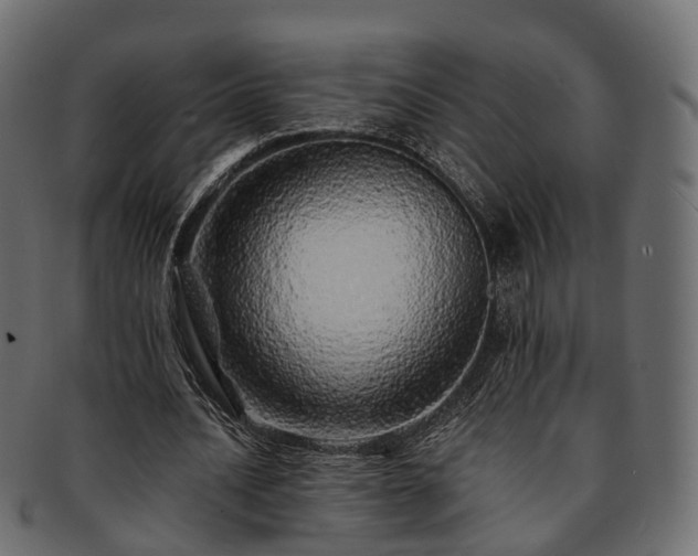 X0000093230628200710031459