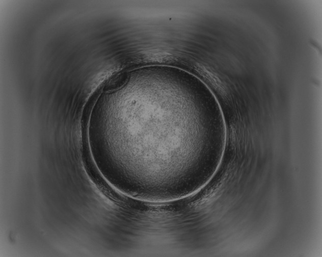 X0000093230630200710031459