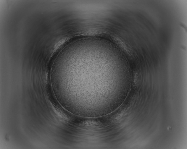 X0000093230636200710031459