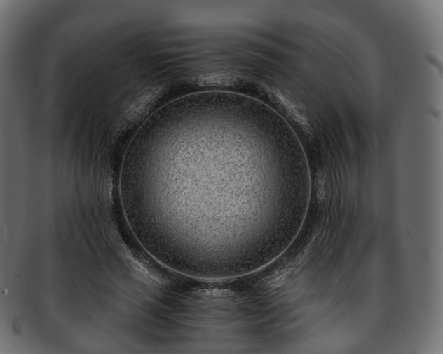 X0000093230637200710031459