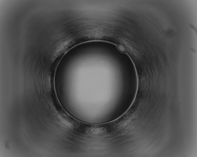 X0000093230638200710031459