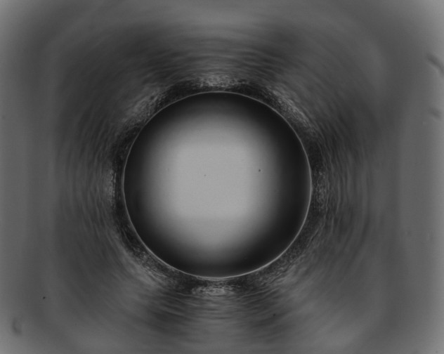 X0000093230639200710031459