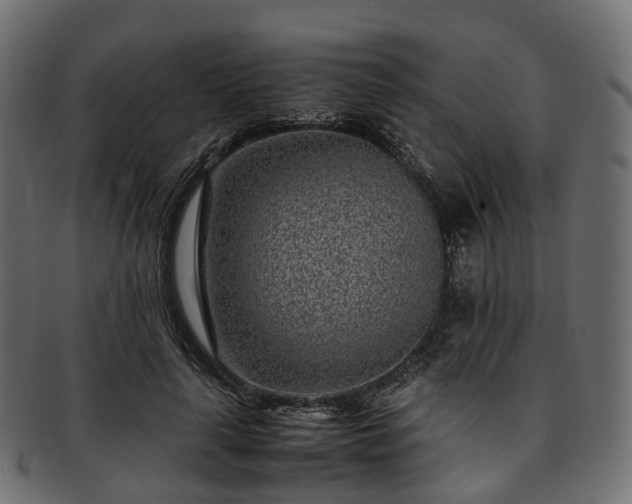 X0000093230643200710031459