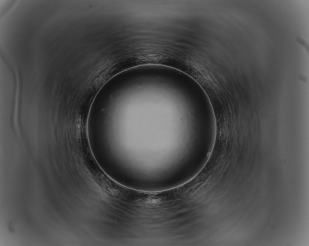 X0000093230647200710031459