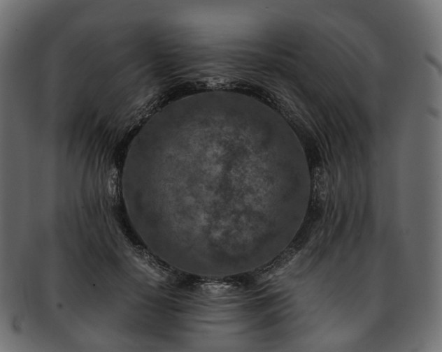 X0000093230650200710031459