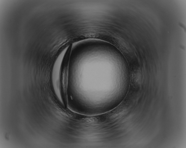 X0000093230652200710031459