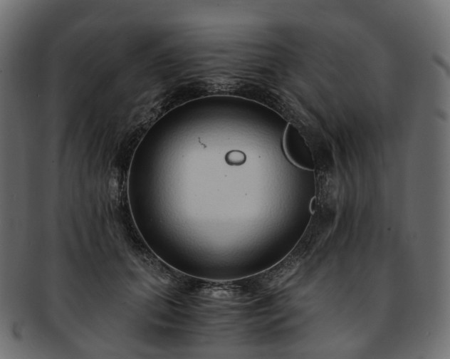 X0000093230655200710031459