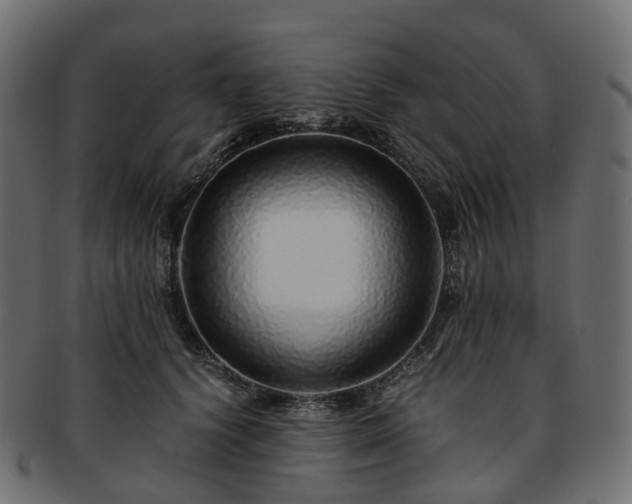 X0000093230656200710031459