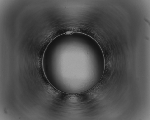 X0000093230658200710031459