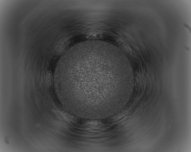 X0000093230659200710031459