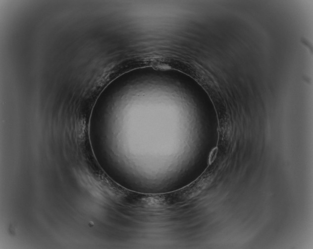 X0000093230660200710031459