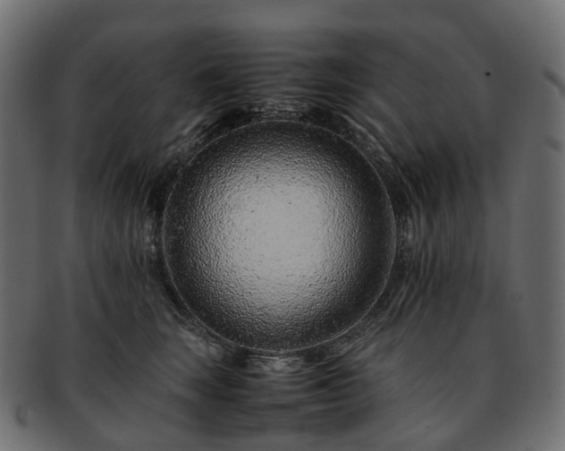 X0000093230663200710031459