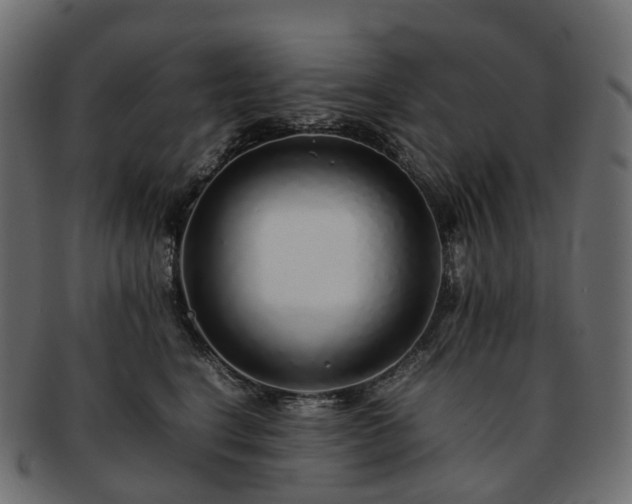 X0000093230664200710031459