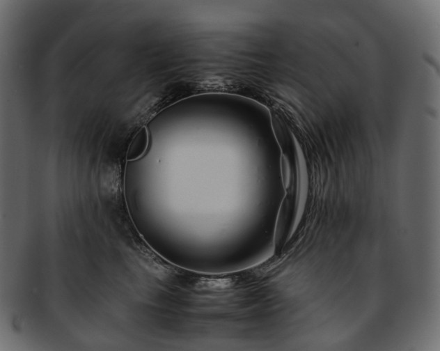 X0000093230665200710031459