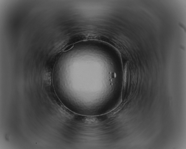 X0000093230666200710031500