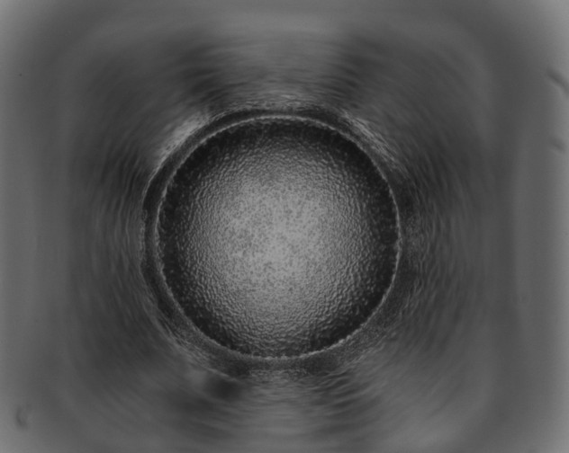 X0000093230679200710031459