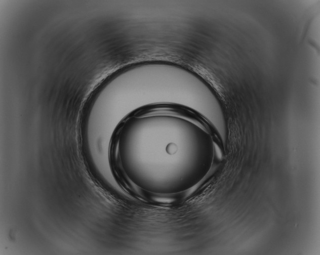 X0000093230680200710031459