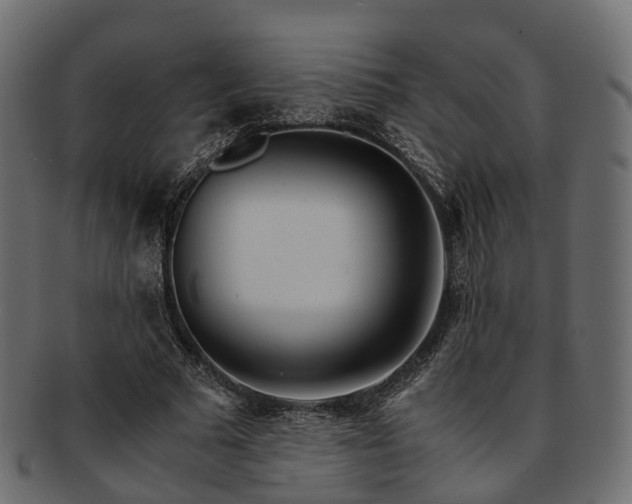 X0000093230681200710031459