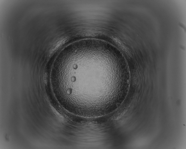 X0000093230683200710031459