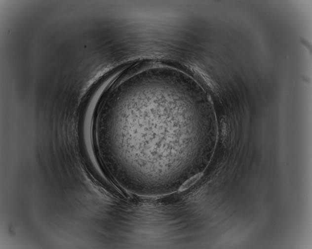 X0000093230684200710031459