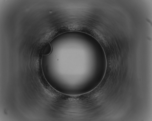 X0000093230690200710031459