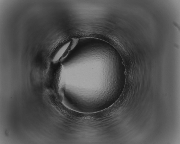 X0000093230691200710031459