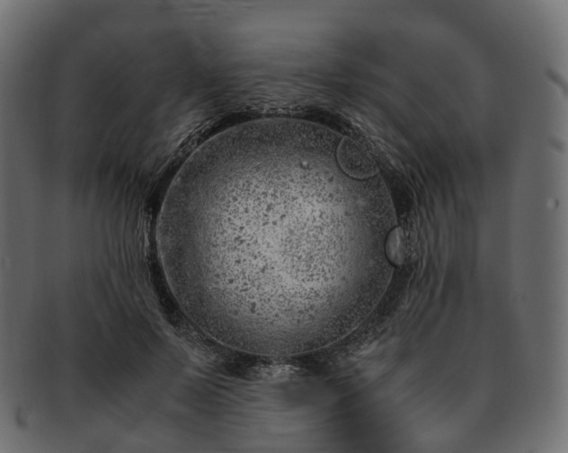 X0000093230695200710031459