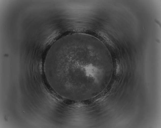 X0000093230696200710031459