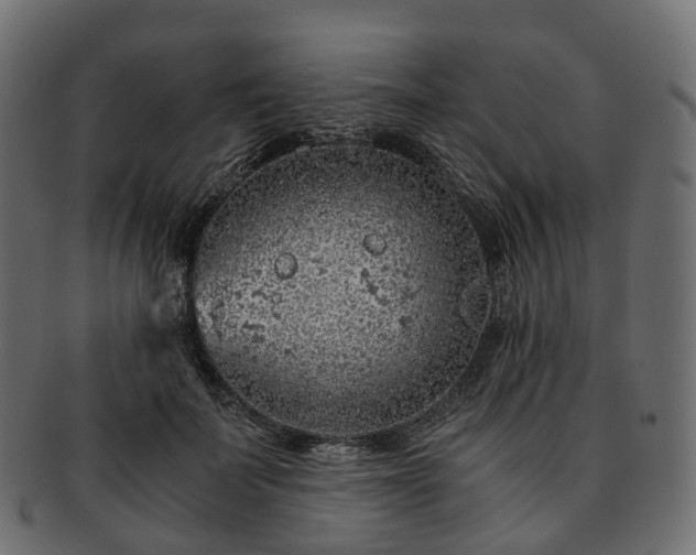 X0000093230699200710031459