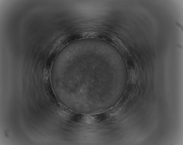 X0000093230701200710031458