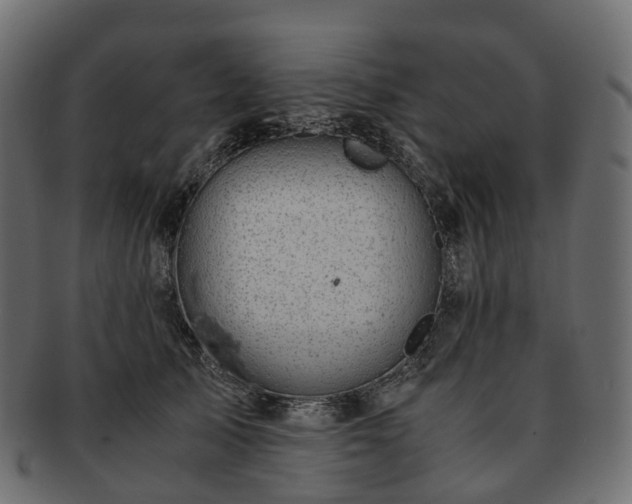 X0000093230705200710031458