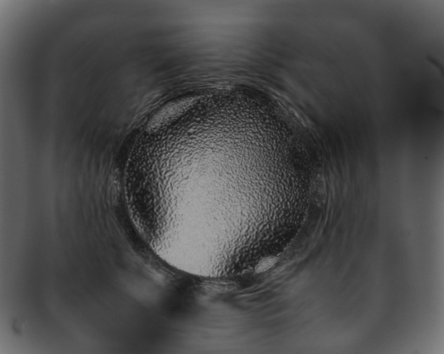 X0000093230707200710031458