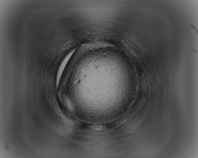 X0000093230711200710031458