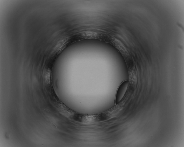 X0000093230717200710031458