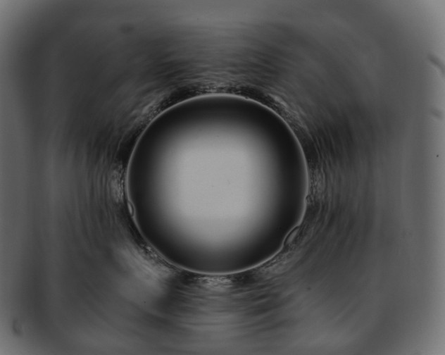 X0000093230719200710031458