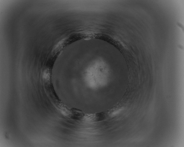 X0000093230720200710031458