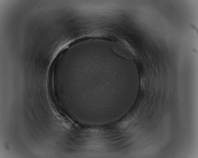 X0000093230724200710031458