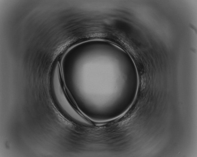 X0000093230725200710031458