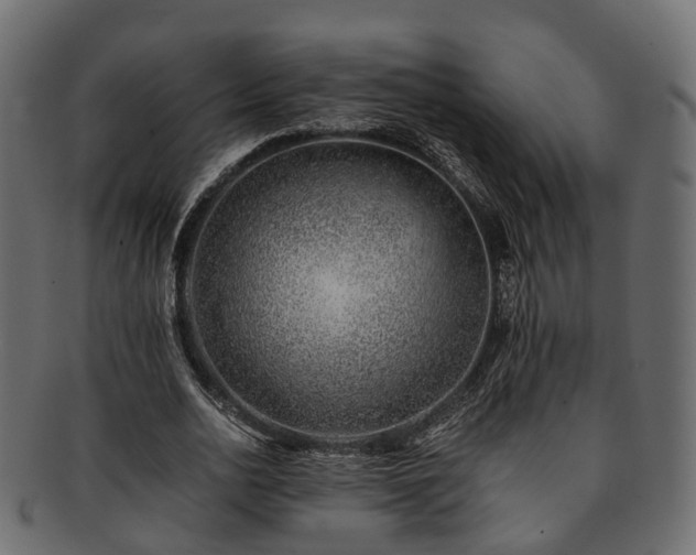 X0000093230726200710031458