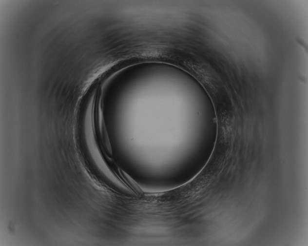 X0000093230728200710031458