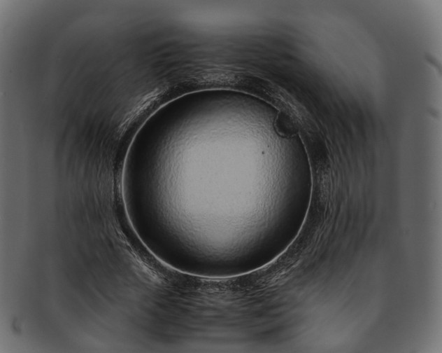 X0000093230729200710031458