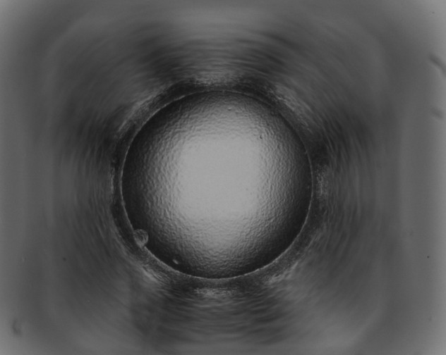 X0000093230733200710031458